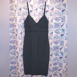 Express Vintage Dress